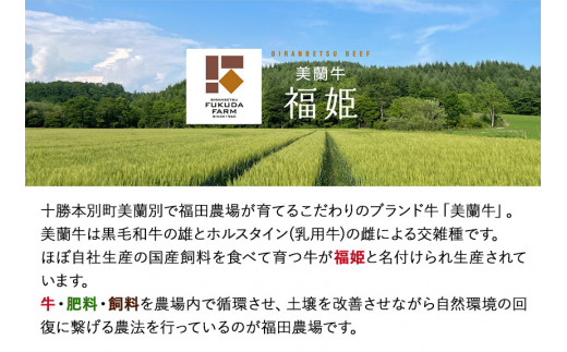 牛肉 美蘭牛「福姫」しゃぶしゃぶセット 600g 株式会社エイチ・アイ・エス《60日以内に出荷予定(土日祝除く)》北海道 本別町 肉 しゃぶしゃぶ 赤身 バラ しゃぶしゃぶ用