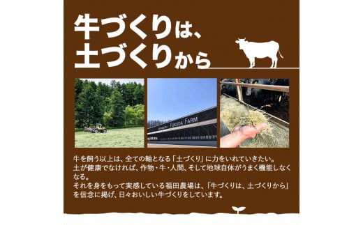 牛肉 美蘭牛「福姫」しゃぶしゃぶセット 600g 株式会社エイチ・アイ・エス《60日以内に出荷予定(土日祝除く)》北海道 本別町 肉 しゃぶしゃぶ 赤身 バラ しゃぶしゃぶ用