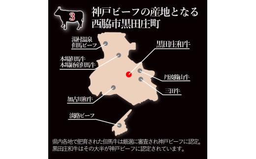 【神戸ビーフ素牛】特選 黒田庄和牛（しゃぶしゃぶ用ロース、550g）(30-9)  肉 お肉 牛肉 しゃぶしゃぶ用 しゃぶしゃぶ 便利 神戸ビーフ 神戸牛 黒田庄和牛 高級黒毛和牛