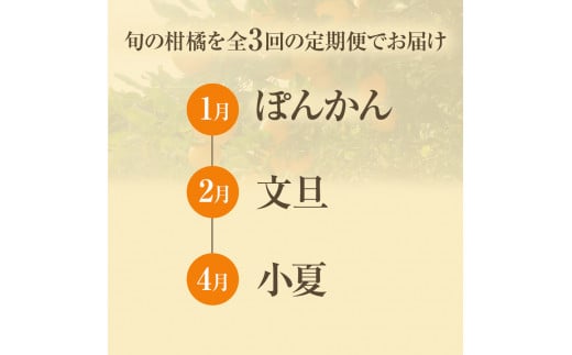 【先行予約 訳あり】 オレンジ園の柑橘3種（ぽんかん・文旦・小夏）各10kg 3回定期便 ポンカン ぶんたん こなつ 果物 蜜柑 みかん ミカン 柑橘 フルーツ デザート 国産 常温 配送【J00103】