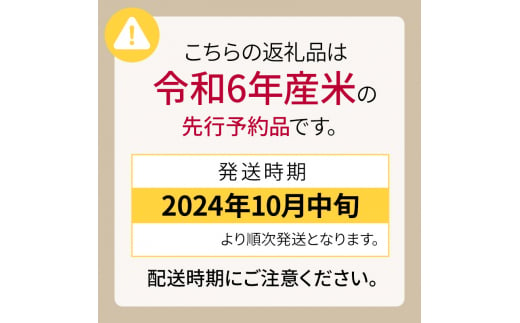 米 定期便 3ヵ月 ななつぼし 10kg 5kg×2袋 令和6年産 芦別RICE 農家直送 特A 精米 白米 お米 おこめ コメ ご飯 ごはん バランス 甘み 最高級 冷めてもおいしい 粘り 北海道米 北海道 芦別市 [№5342-0206]