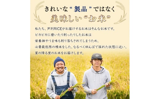 米 定期便 3ヵ月 ななつぼし 10kg 5kg×2袋 令和6年産 芦別RICE 農家直送 特A 精米 白米 お米 おこめ コメ ご飯 ごはん バランス 甘み 最高級 冷めてもおいしい 粘り 北海道米 北海道 芦別市 [№5342-0206]