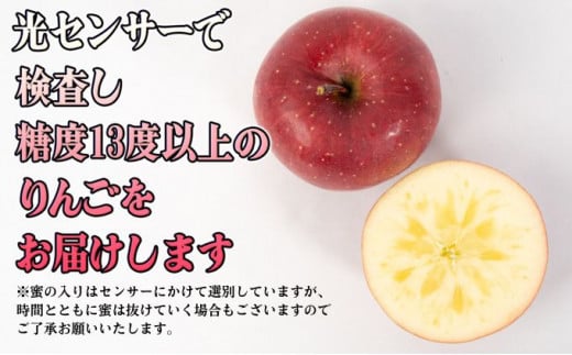 11～12月 贈答規格 蜜入りサンふじ約5kg（12～18個）13度糖度保証【青森りんご・ゆうきアップル・11月・12月】