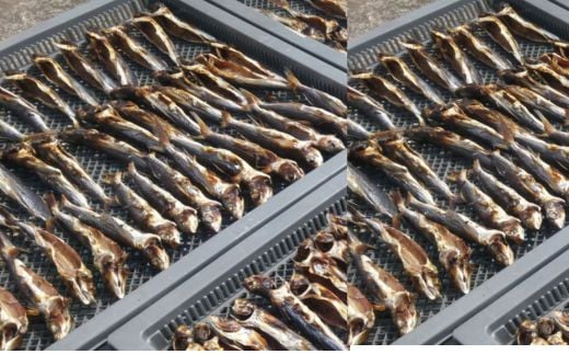 魚屋が作る焼あご100%粉末 無添加あごだし魚粉(100g×2)食塩不使用 トビウオふりだし出汁とり