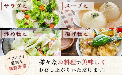 【定期便 12回】野菜ソムリエ監修 旬のおすすめ野菜セット ４〜5品