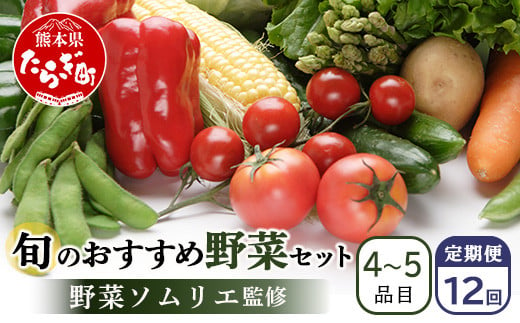 【定期便 12回】野菜ソムリエ監修 旬のおすすめ野菜セット ４〜5品