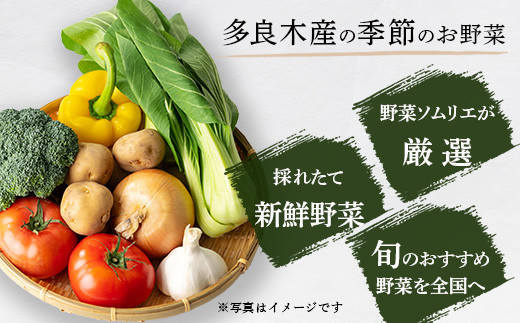 【定期便 12回】野菜ソムリエ監修 旬のおすすめ野菜セット ４〜5品