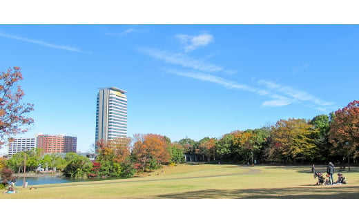 <竹取の湯>岩盤浴入り放題!永山健康ランド竹取の湯　入館券+お食事2,000円券付プラン【1503496】