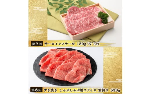 【 定期便 】 近江牛 食べ比べ 全6回 焼肉 すき焼き しゃぶしゃぶ サーロイン ステーキ 赤身 霜降り （ 定期便 肉 黒毛和牛 お弁当 ブランド 近江牛 毎月 三大和牛 滋賀県 竜王 神戸牛 松阪牛 に並ぶ 日本三大和牛 ふるさと納税）