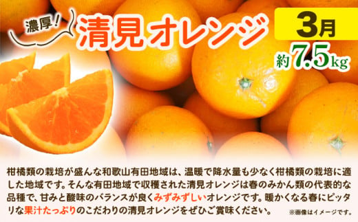 【発送月固定定期便】紀州 和歌山産 旬の ご家庭用 柑橘 セット (みかん 不知火 清見)【全３回】 魚鶴商店《1月上旬-3月末頃出荷予定(土日祝除く)》 和歌山県 日高町 みかん 不知火 清見 オレンジ 柑橘 蜜柑 果物 フルーツ 訳あり ギフト 送料無料 定期便