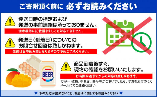 【2025年発送】南国の果物　沖縄県産アップルマンゴー　2kg