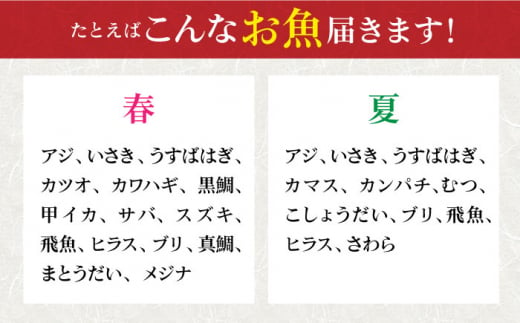 【下処理可】 五島列島産 旬の鮮魚 セット 3種類以上（3～4kg）【有川町漁業協同組合】 [RBH002]