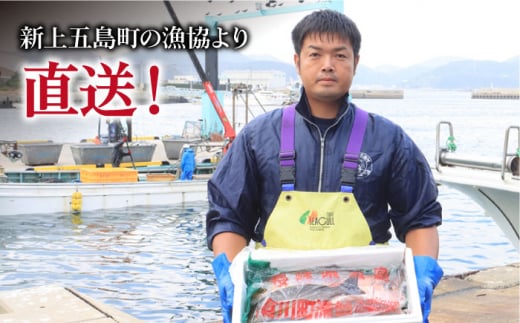 【下処理可】 五島列島産 旬の鮮魚 セット 3種類以上（3～4kg）【有川町漁業協同組合】 [RBH002]