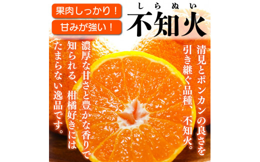 【 先行予約 】 しらぬい 不知火 3kg 家庭用 10~12個入り みかん 柑橘 サイズ不揃い 糖度13以上 果物 フルーツ 柑橘 徳島県 阿波市産 宮田農園