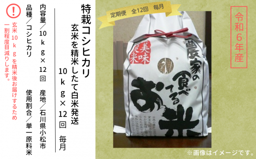 お米 こめ コメ《 定期便 》 令和6年産 特栽コシヒカリ 玄米を精米したて白米発送 10kg× 12回 ( 毎月 ) 