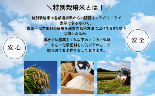 お米 こめ コメ《 定期便 》 令和6年産 特栽コシヒカリ 玄米を精米したて白米発送 10kg× 12回 ( 毎月 ) 