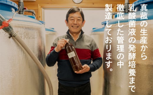 No.103 真菰（まこも）乳酸菌液　1.5L×2本 ／ マコモ 無農薬栽培 山梨県