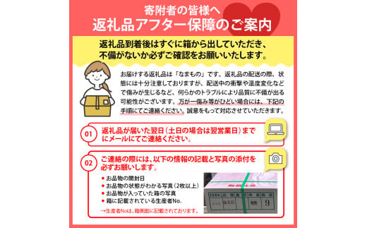 【令和6年産】洋梨「ラ・フランス」 秀以上 3kg【かほくらし社】