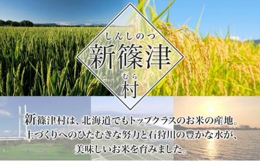 定期便 3ヵ月 北海道 特別栽培 令和6年産 ななつぼし 5kg 無洗米 精米 米 白米 お米 新米 ごはん ご飯 ライス 道産米 ブランド米 新しのつ米 ふっくら 食味ランキング  産地直送 カワサキ森田屋 送料無料