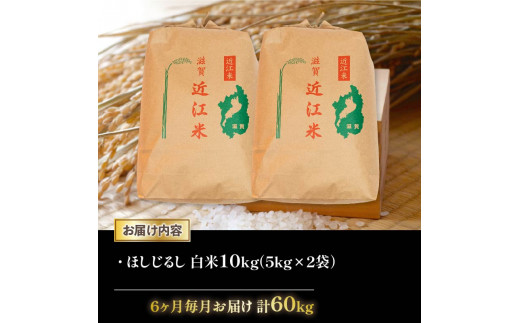 令和6年産 新米 ほしじるし 定期便 10kg 全6回 白米 5㎏ × 2袋 6ヶ月 近江米 ホシジルシ 国産 お米 米 おこめ ごはん ご飯 白飯 しろめし こめ ゴハン 御飯 滋賀県産 竜王 ふるさと ランキング 人気 おすすめ