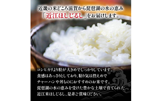 令和6年産 新米 ほしじるし 定期便 10kg 全6回 白米 5㎏ × 2袋 6ヶ月 近江米 ホシジルシ 国産 お米 米 おこめ ごはん ご飯 白飯 しろめし こめ ゴハン 御飯 滋賀県産 竜王 ふるさと ランキング 人気 おすすめ