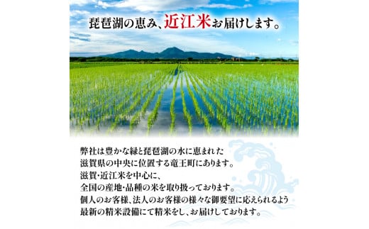 令和6年産 新米 ほしじるし 定期便 10kg 全6回 白米 5㎏ × 2袋 6ヶ月 近江米 ホシジルシ 国産 お米 米 おこめ ごはん ご飯 白飯 しろめし こめ ゴハン 御飯 滋賀県産 竜王 ふるさと ランキング 人気 おすすめ