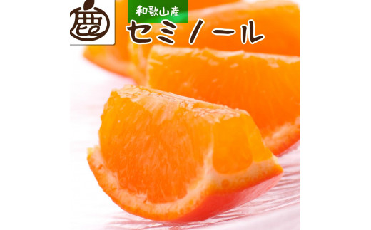 ＜4月より発送＞厳選 セミノールオレンジ5kg+150g（傷み補償分）【有田の春みかん】【有田産】【光センサー食べ頃出荷】