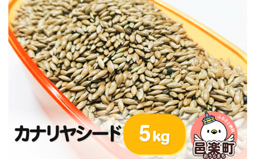 カナリヤシード 5kg×1袋 サイトウ・コーポレーション 飼料