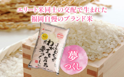 夢つくし 2.5kg&ふくや味の明太子 100g