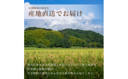 【定期便6回】令和6年産 新米 有機栽培コシヒカリ 精米 5kg 毎月お届け 6ヶ月【 定期便 米 コシヒカリ こしひかり 5キロ 5kg 精米 白米 こめ コメ お米 おこめ 農家直送 有機 有機栽培米 有機栽培 減農薬 綾部 京都 森本ファーム 】