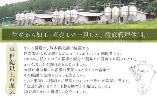 火の本豚 豚バラベーコンスライス（500ｇ×3パック） | 熊本県 熊本 くまもと 和水町 なごみ 豚肉 肉 豚バラ ベーコン 加工品 スライス 500g 地域ブランド