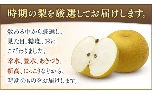 梨10～14個【令和6年9月より発送開始】田舎の頑固おやじが厳選！