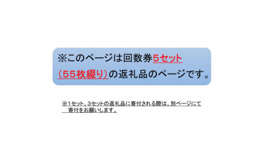 新居弁天海釣公園★駐車場回数券 5セット(55枚綴)【1450333】