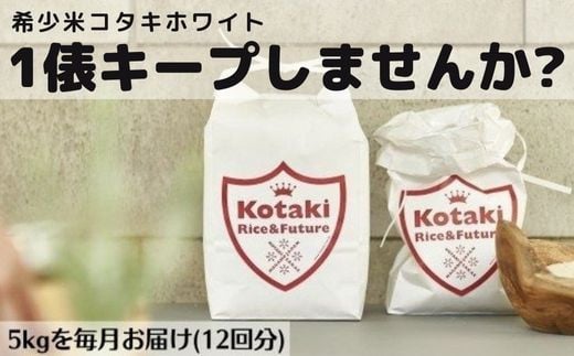 希少米を1俵キープ コタキホワイト5kgを毎月お届け(計12回)（令和6年産）