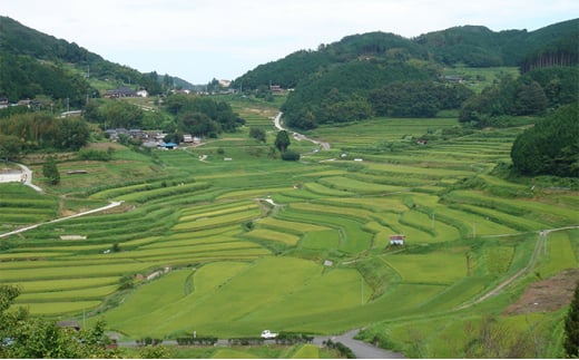 [№5757-0360]レンジ アップ ごはん 岡山県美咲町大垪和西棚田米（きぬむすめ）20パックセット 米 パック ごはん 保存 レトルト