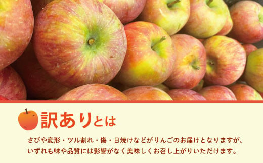 [No.5657-3687]訳あり サンふじ 約3kg(約7～14玉) 須坂市産《株式会社フルプロ》■2024年～2025年発送■※11月中旬頃～1月下旬頃まで順次発送予定