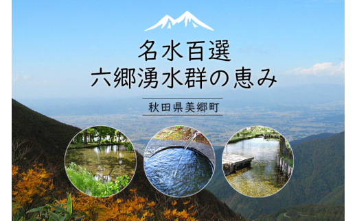 ニテコ炭酸水 レモンフレーバー 300ml×12本セット「水の郷」の炭酸水 ご当地炭酸水