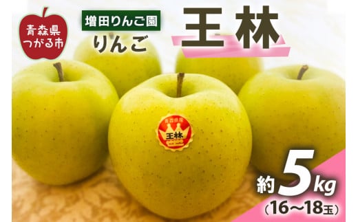 りんご 王林 約5kg(16～18玉) 青森産 つがる市【2024年11月下旬より順次発送】｜青森県産 津軽 つがる リンゴ 果物 王林 [0611]