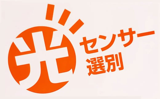 2025年発送【糖度11度以上】JAあまみ「秀品」たんかん 約3kg 鹿児島県 奄美群島 奄美大島 龍郷町 国産 奄美産 青果 果物 くだもの フルーツ 柑橘 かんきつ みかん オレンジ ジューシー 光センサー選果 お取り寄せ 先行予約 期間限定 数量限定