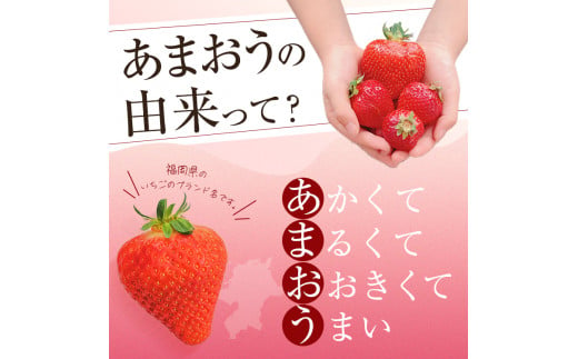 ＜予約受付中！2024年12月中旬より順次発送予定＞特選あまおう(約800g)  苺 いちご イチゴ 国産 福岡県 果物 フルーツ ヨーグルト ジャム スムージー 冷蔵 特別栽培＜離島配送不可＞【ksg1319】【うるう農園】