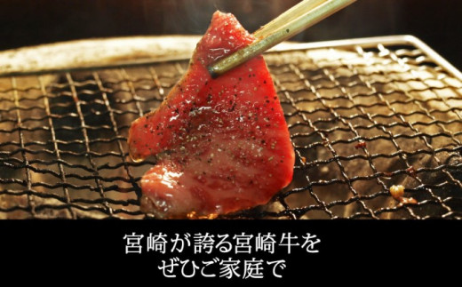 [№5738-0061]宮崎牛 焼肉セット 450g（バラ・モモ・肩 各150g）※配送不可：一部離島