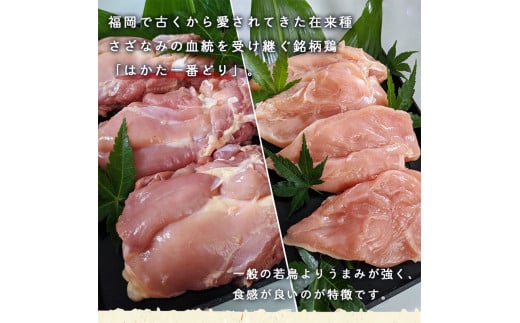 SZ004はかた一番どり　もも・むね食べ比べセット 鶏 鶏肉 福岡県産 ムネ モモ