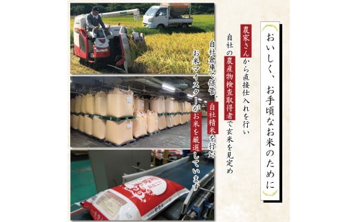 米 定期便 能登米 こしひかり 5kg ×12回 総計 60kg 精米 [中橋商事 石川県 宝達志水町 38600899] 能登 コシヒカリ お米 コメ 12ヶ月 12か月 5キロ 60キロ 白米 おこめ こめ