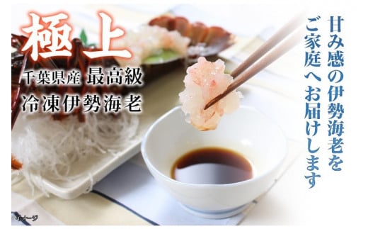 F126 活〆生食用伊勢海老（冷凍）１６５０ｇ（１５０～１８０ｇ）×１０匹