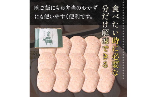 お肉屋さんが作った手ごねハンバーグ 100g×20個  VY008