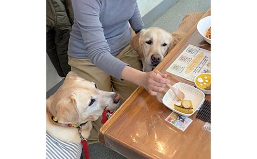 ”愛犬と伴にお食事” 「Dog Runs Well・ドッグパーク幸手店舗」お食事券 - チケット お食事券 カフェ 食事 ドッグカフェ ドッグラン 愛犬  犬 犬用おやつ おやつ Dog Runs Well ドッグランズウェル 埼玉県 幸手市 