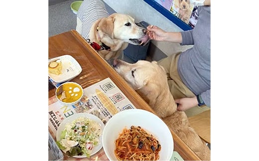 ”愛犬と伴にお食事” 「Dog Runs Well・ドッグパーク幸手店舗」お食事券 - チケット お食事券 カフェ 食事 ドッグカフェ ドッグラン 愛犬  犬 犬用おやつ おやつ Dog Runs Well ドッグランズウェル 埼玉県 幸手市 