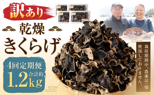 【訳あり】【4ヶ月定期便】 乾燥きくらげ 320g （80g×4パック） ×4回 合計1,280g