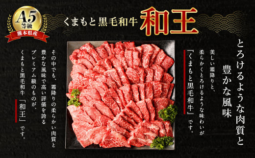 熊本県産 A5等級 和王 柔らか 赤身 焼肉 合計約900g