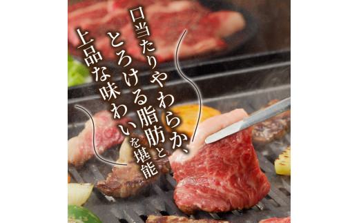 ★選べる配送月★【12月発送】志方牛カルビ焼肉《 牛肉 牛 和牛 国産 焼肉 おすすめ カルビ 赤身 美味しい バーベキュー 志方牛 プレゼント ギフト 送料無料 お取り寄せ 》【2401A00202-00】